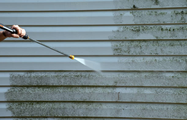 Deck Cleaning Services in Arlington, TX